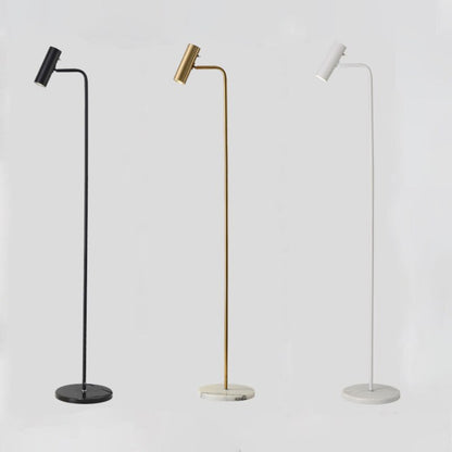 Modern Led Dimmable Floor Lamp