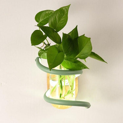 Plant Soul Wall Light